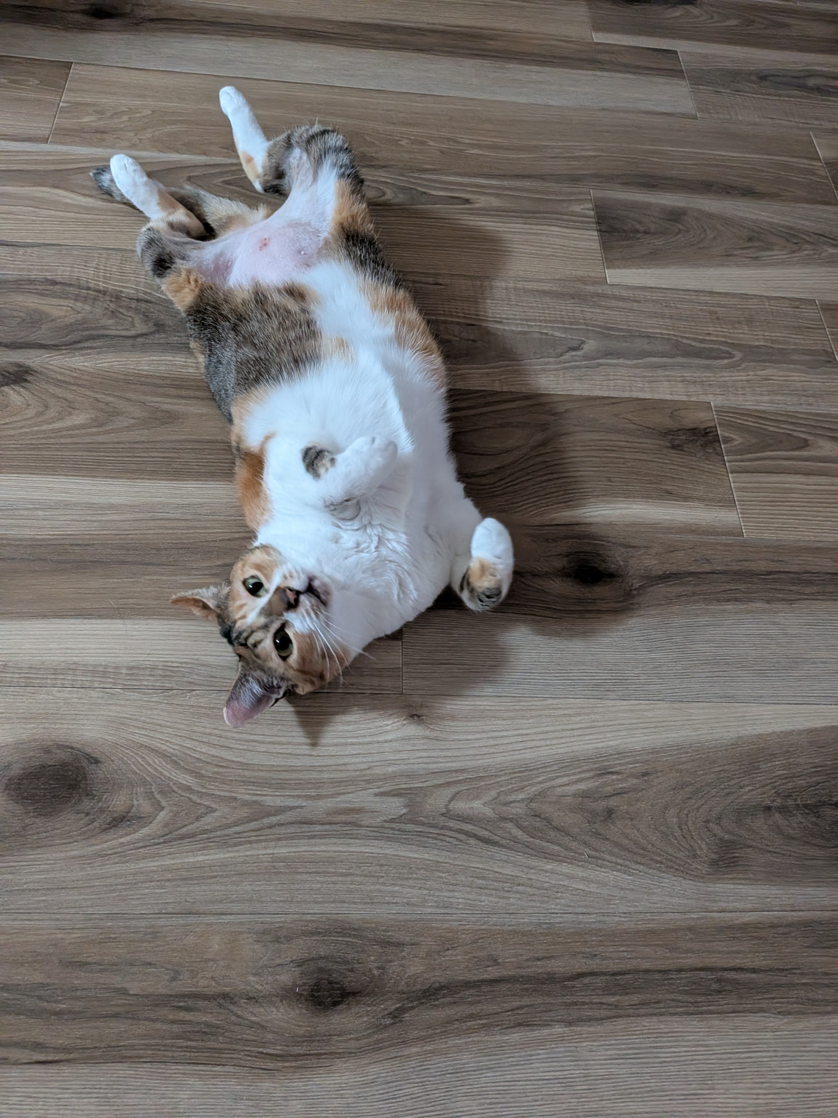 2594.jpg_resize