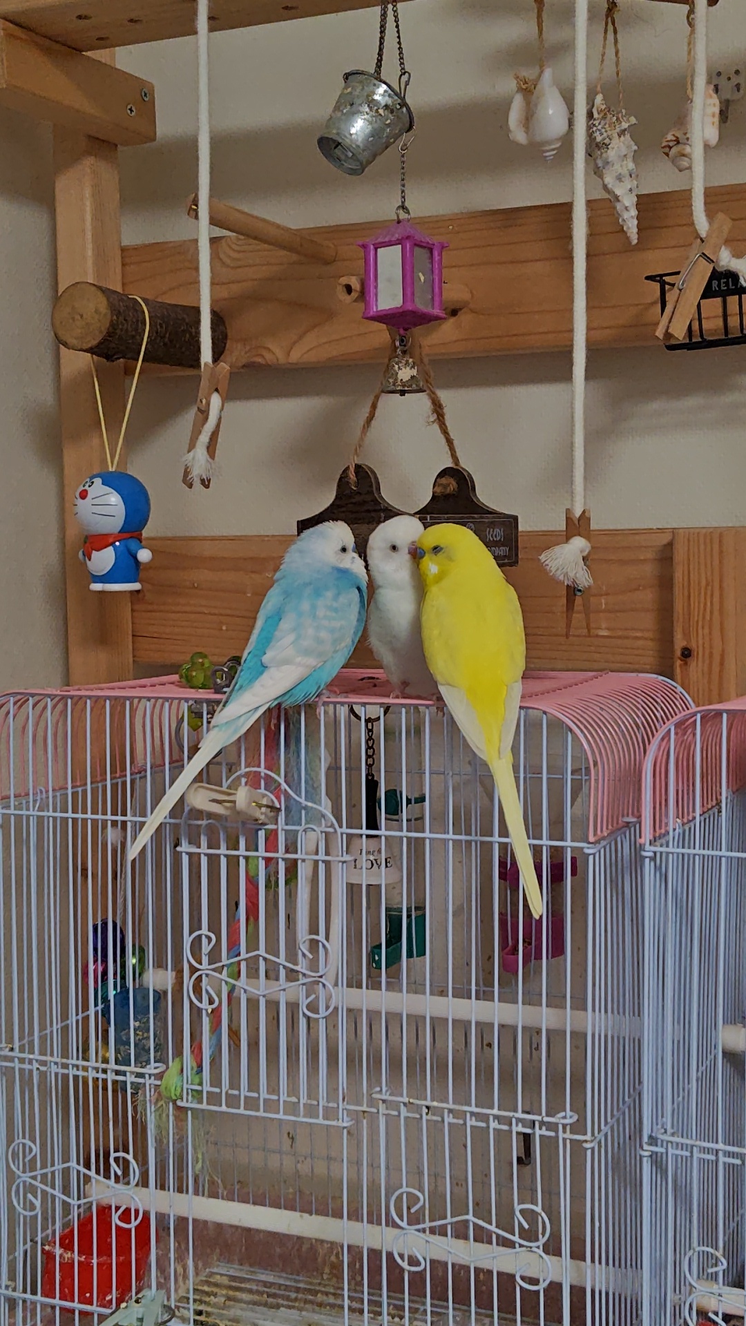 1000002849.jpg_resize