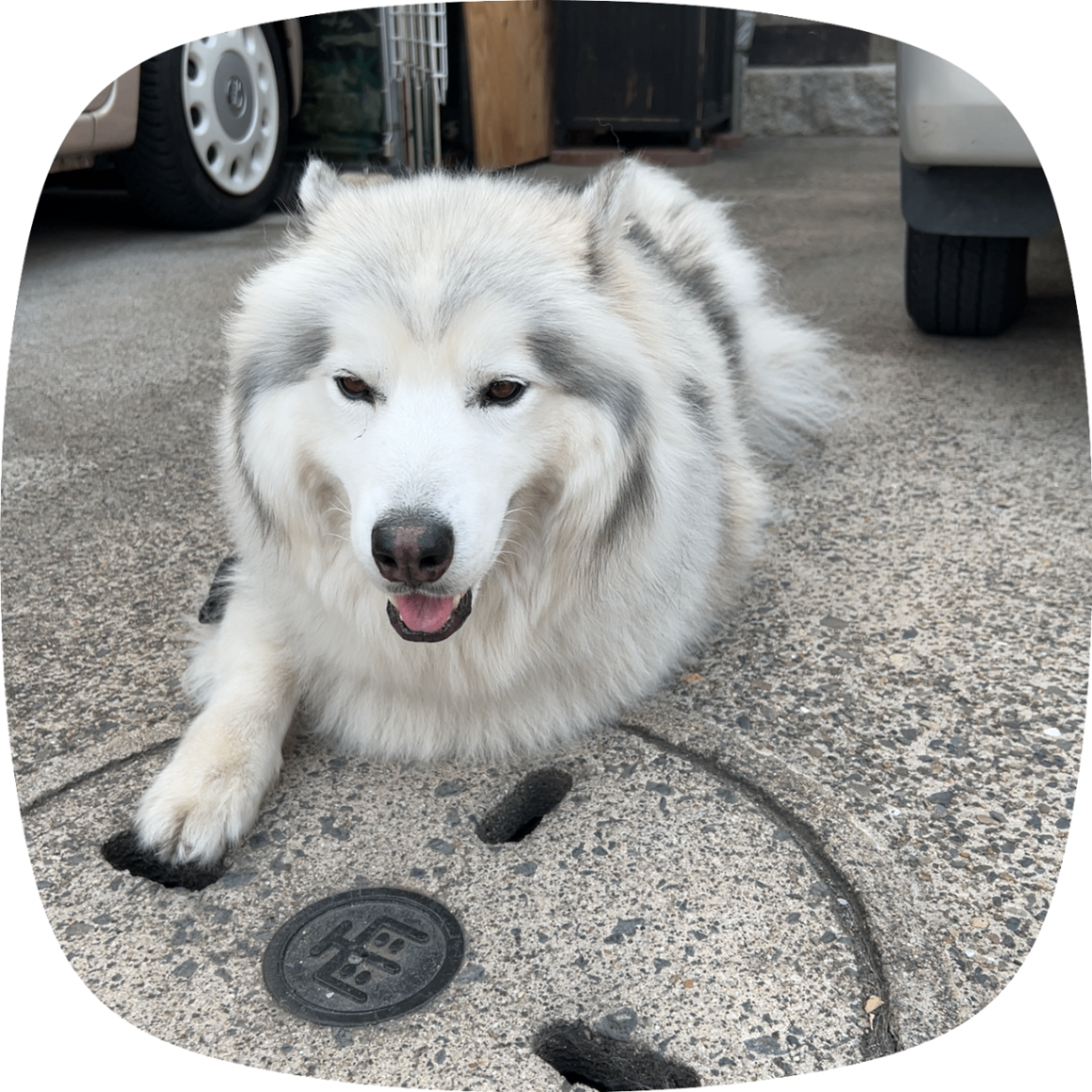 IMG_6671.png_resize