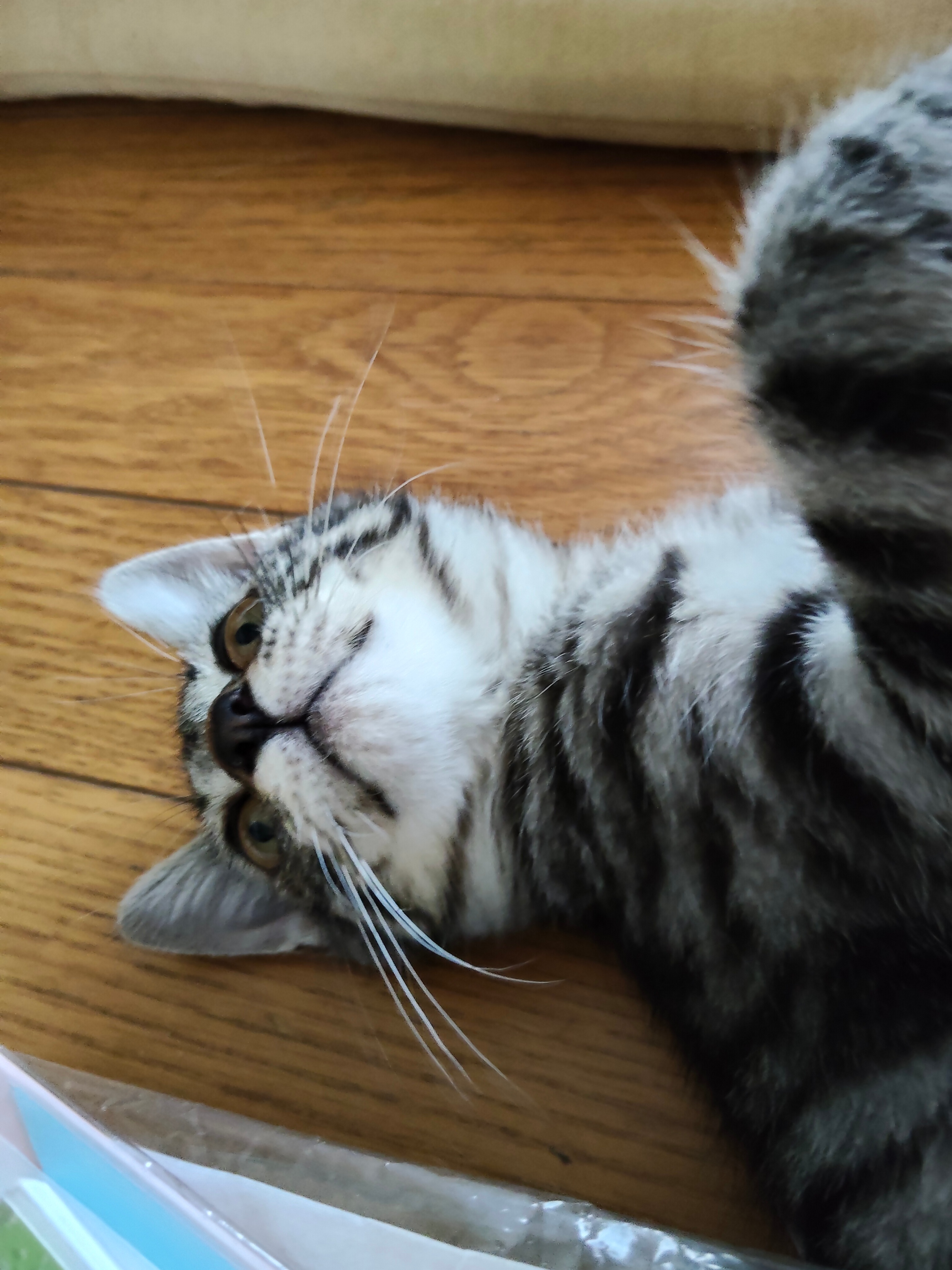 15528.jpg_resize