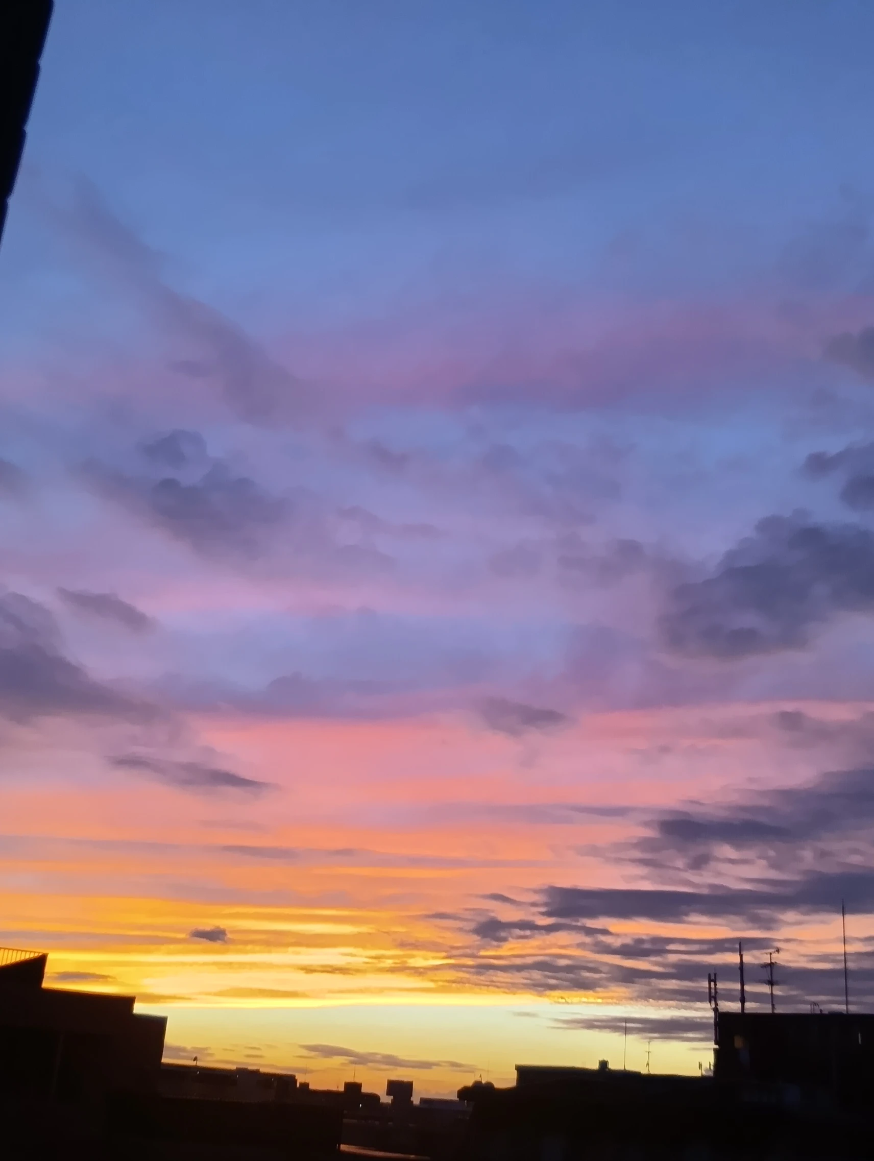 1000006426.webp