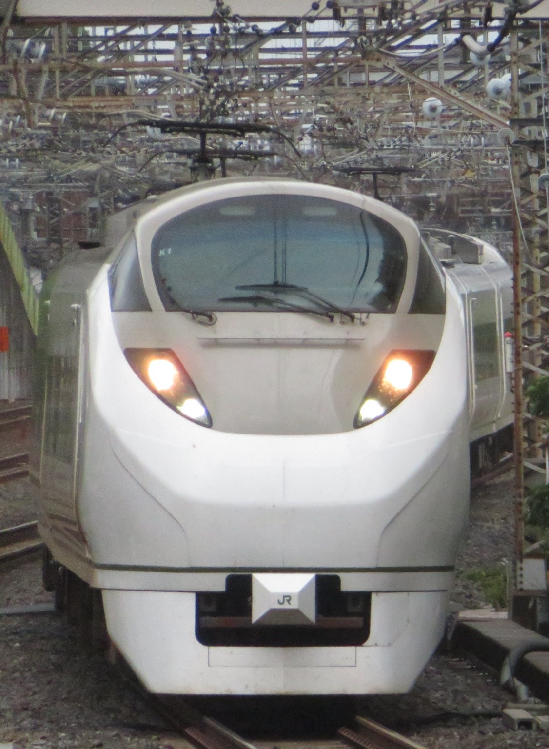 5084.jpg
