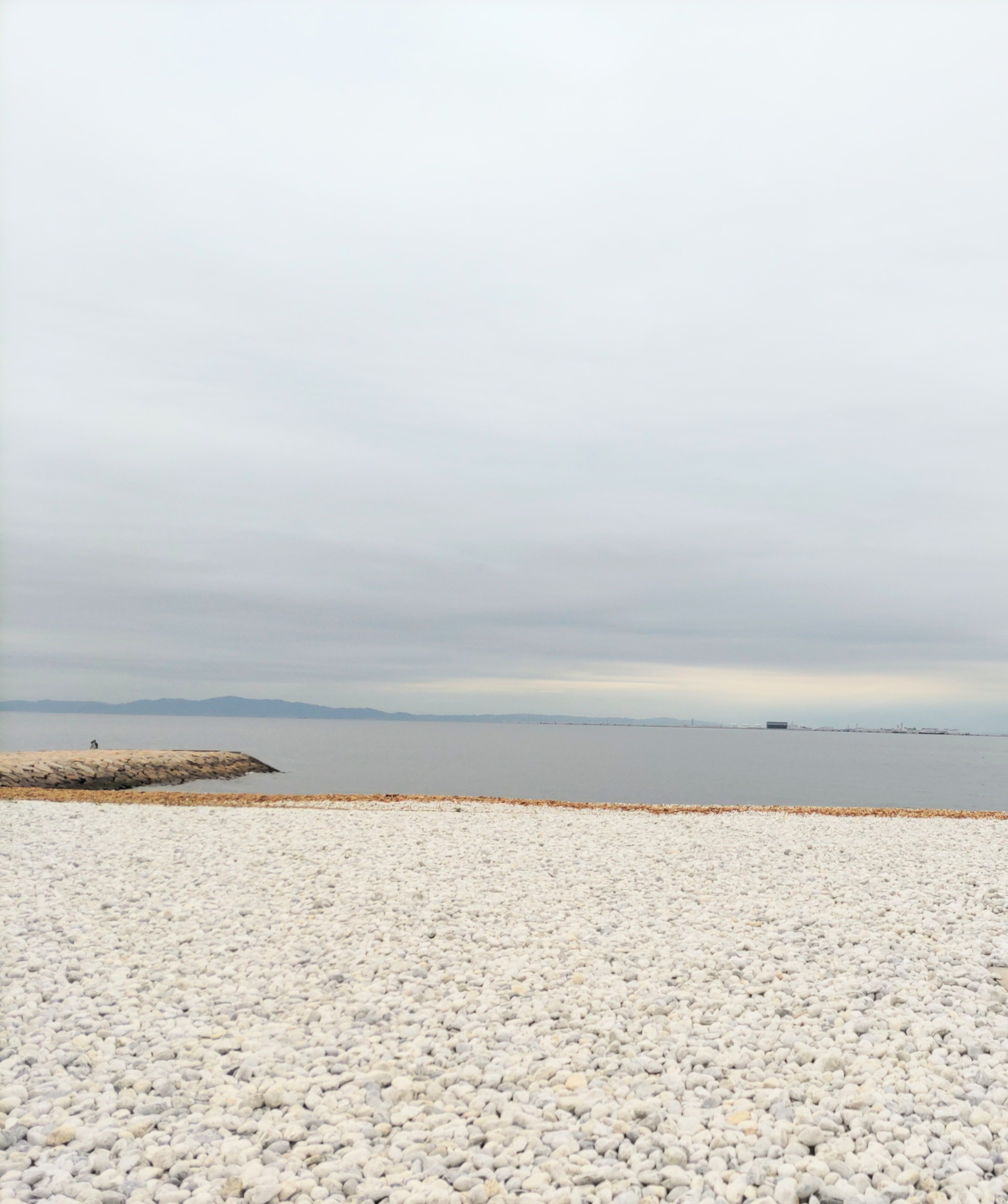 1000001095.jpg_resize